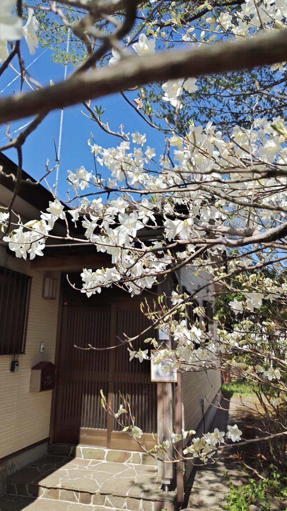 Holiday home フルブルーム